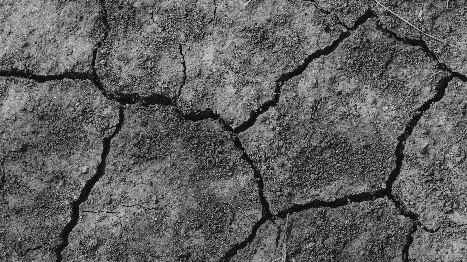 How To Fix Dehydrated Skin