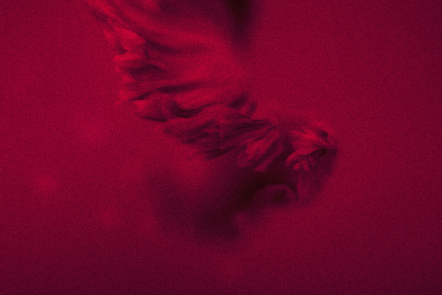 What Is Rosacea? Everything You Need To Know