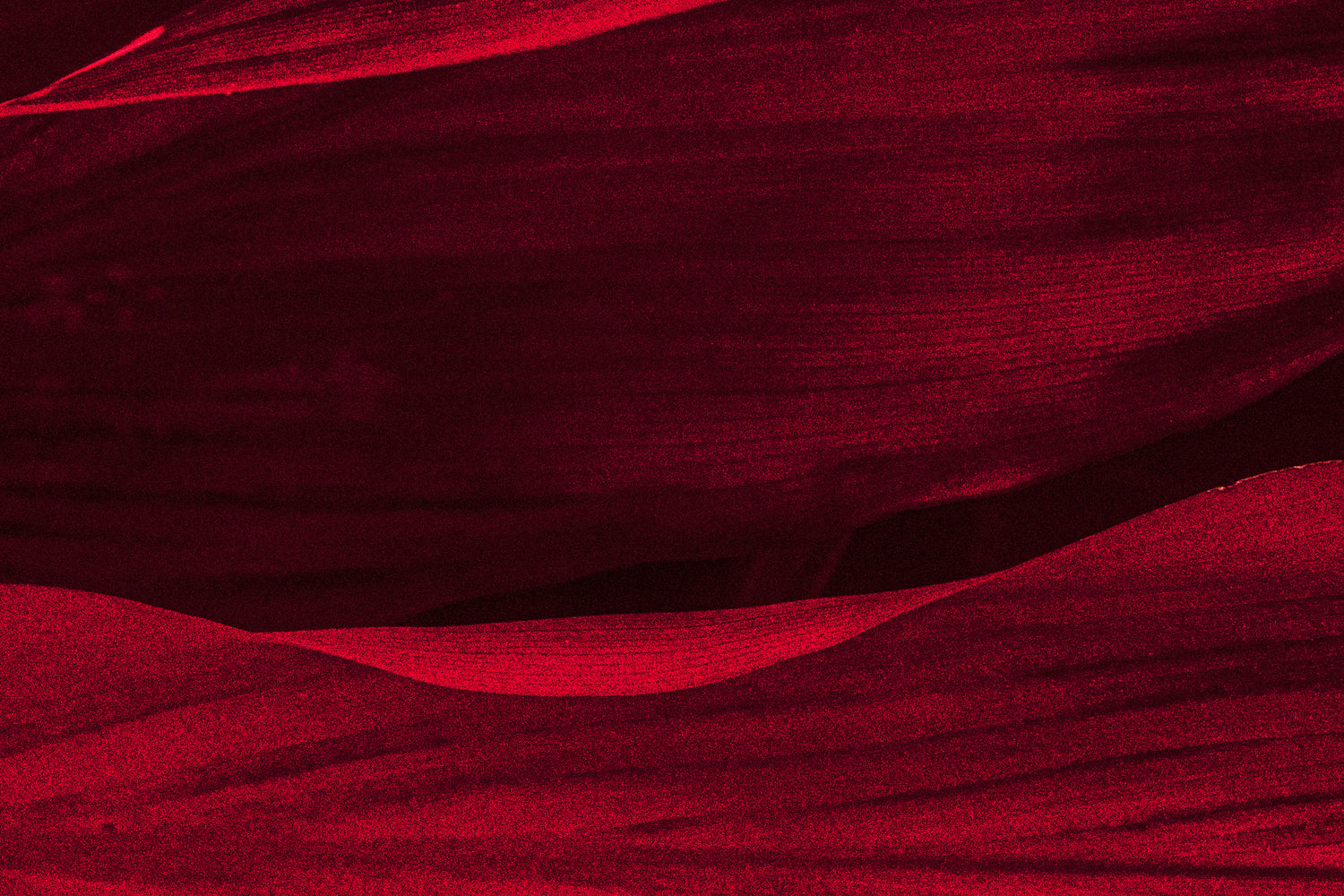 Essential Tips for Rosacea with Dr Emma